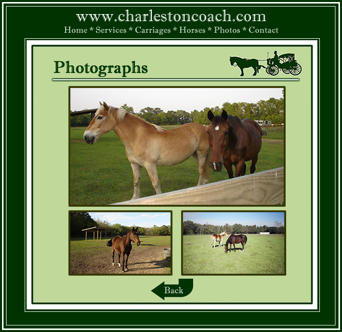 Charleston Coach is a luxury horse-drawn carriage service, specializing in distinctive weddings. Our carriage can be delivered to any location in the Charleston Area. Your Fairytale Awaits! (843) 709-0988